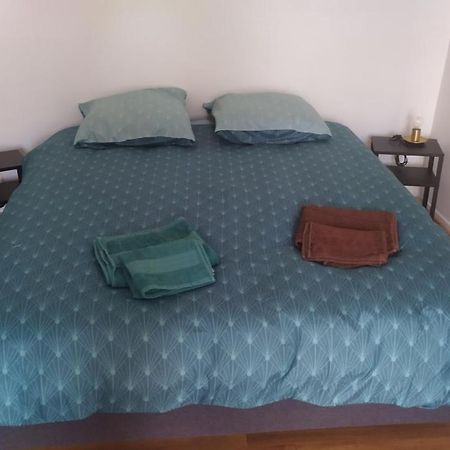 Plein Centre Apartman Malzéville Kültér fotó